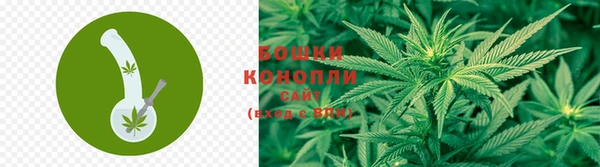 mdpv Кинешма