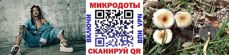 Купить закладки  Заинск  Галлюциногенные грибы MAGIC MUSHROOMS 